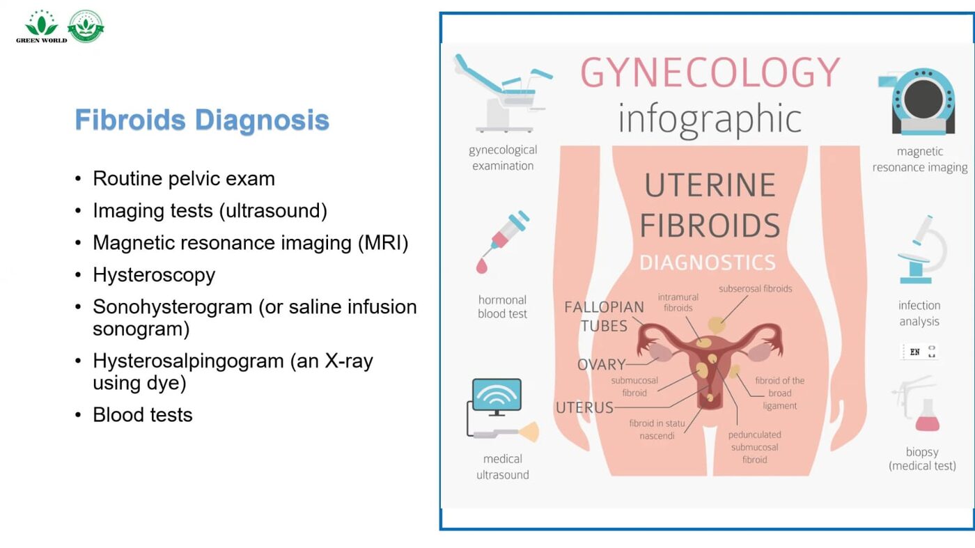 Gynecology diagnostic infographic showing exams and imaging tests used to detect fibroids
