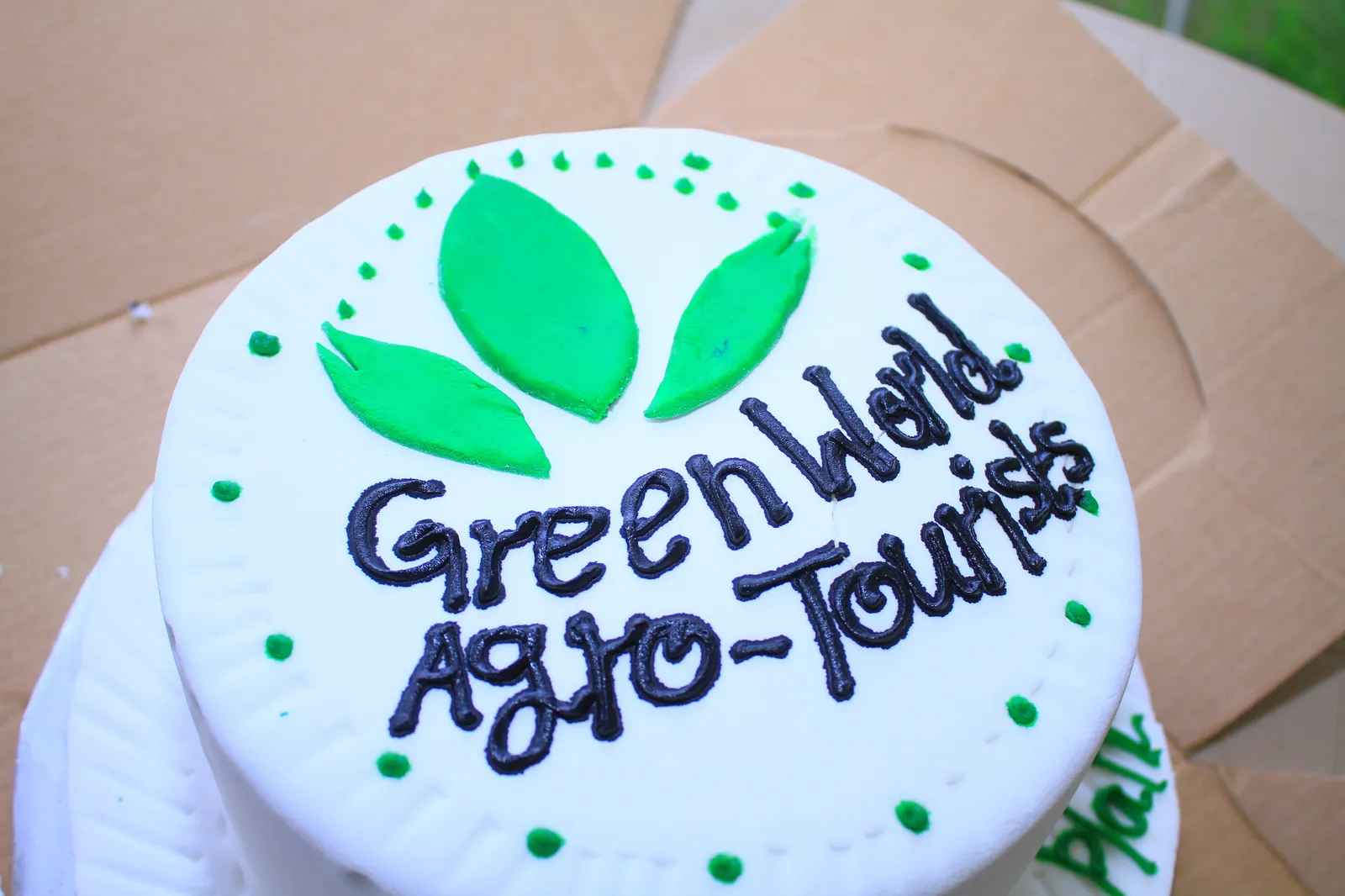 Green World Agro-Tourists celebration cake